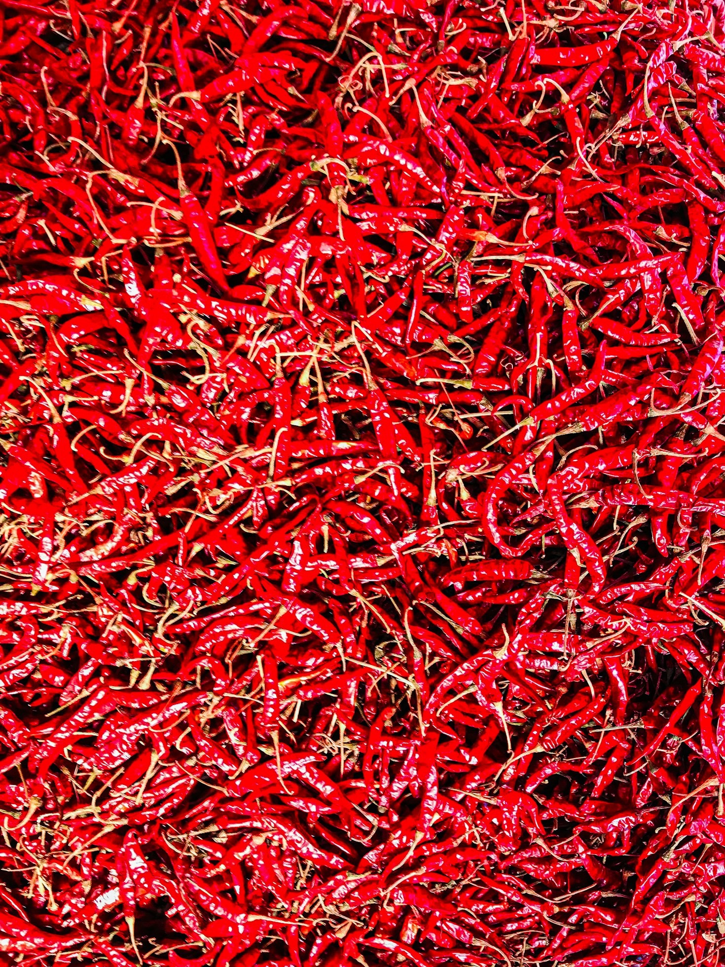 10 põhjust, miks Tuletoojad on teie parim valik